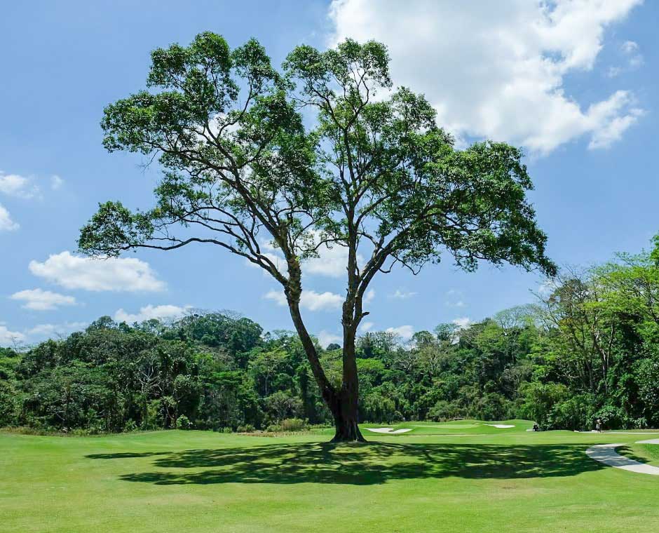 Binictican Valley Golf Club