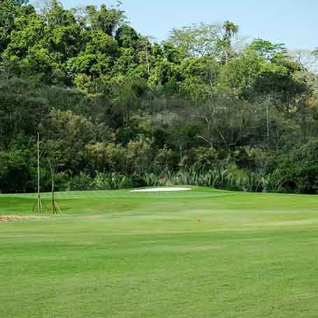 Hole14