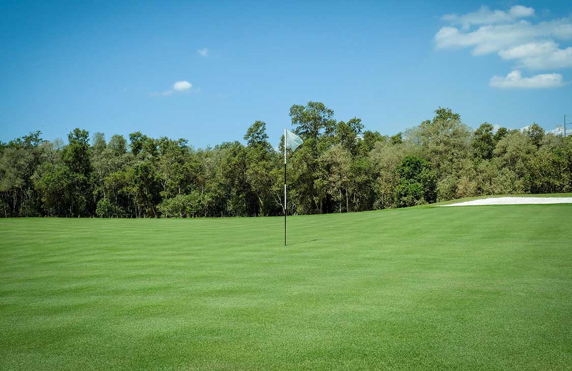 Hole15